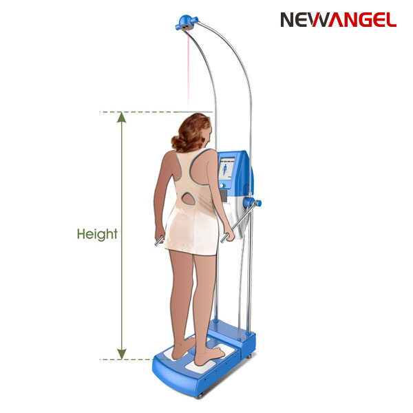 Body fat analyser machine height weight analyzer professional