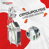 Newangel Cryolipolysis Machine for Salon And Clinic ETG50-6S