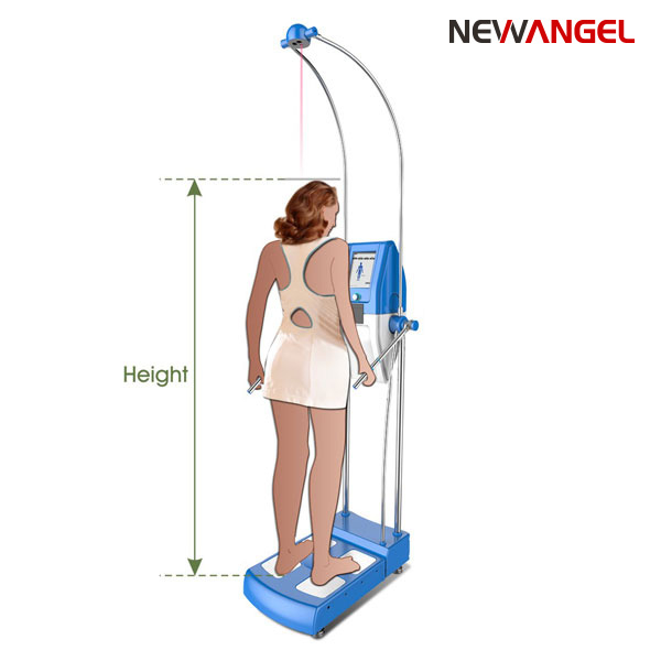 Professional body composition analyzer best multi frequency