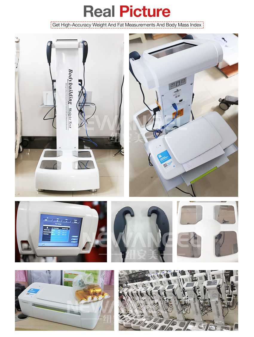 GS6.5B body composition analysis machine price